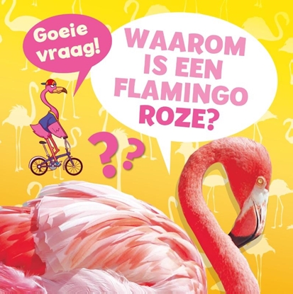 Afbeeldingen van Goeie vraag! Waarom is een flamingo roze?