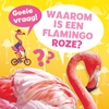 Afbeelding van Goeie vraag! Waarom is een flamingo roze?