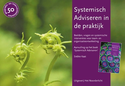 Afbeeldingen van Systemisch Adviseren in de praktijk