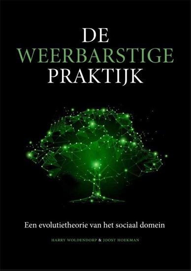 Afbeelding van De weerbarstige praktijk
