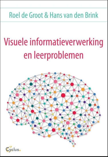 Afbeelding van Visuele informatieverwerking en leerproblemen