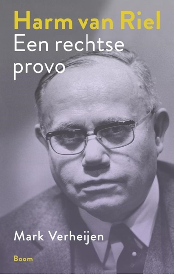 Afbeelding van Harm van Riel