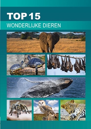 Afbeeldingen van TOP 15 Wonderlijke dieren