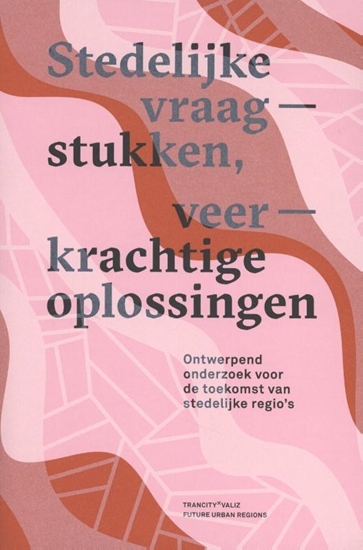 Afbeelding van Stedelijke vraagstukken, veerkrachtige oplossingen