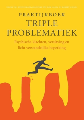 Afbeeldingen van Praktijkboek triple problematiek