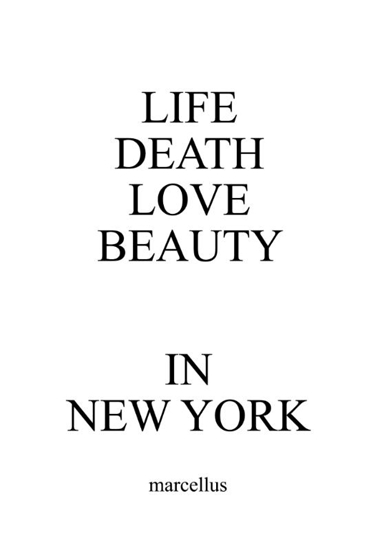 Afbeelding van LIFE DEATH LOVE BEAUTY IN NEW YORK