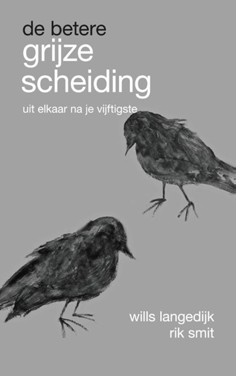 Afbeelding van De betere grijze scheiding