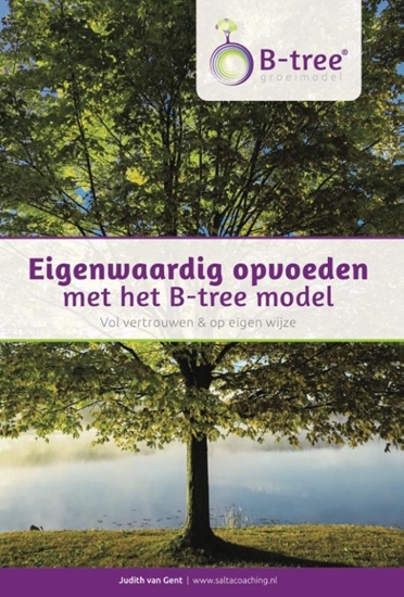 Afbeelding van Eigenwaardig opvoeden met het B-tree model