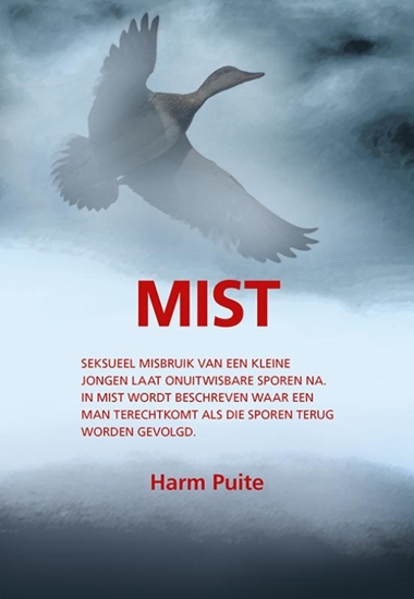 Afbeelding van Mist