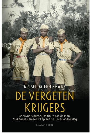 Afbeelding van De vergeten krijgers