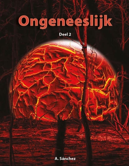 Afbeelding van Ongeneeslijk 2
