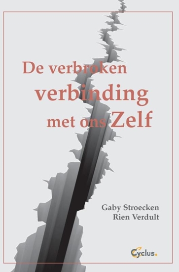Afbeelding van De verbroken verbinding