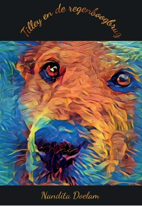 Afbeeldingen van Tilley en de regenboogbrug