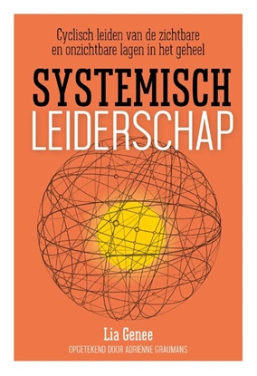 Afbeeldingen van Systemisch leiderschap