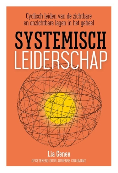 Afbeelding van Systemisch leiderschap