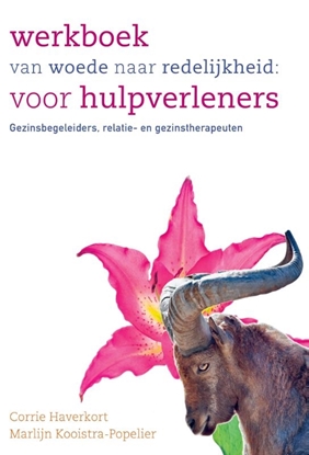 Afbeeldingen van Werkboek van woede naar redelijkheid: voor hulpverleners