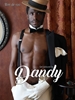 Afbeelding van Get seduced by Dandy