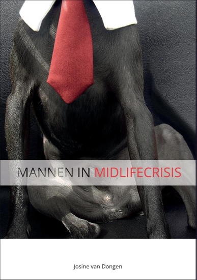 Afbeelding van Mannen in Midlifecrisis