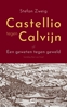 Afbeelding van Castellio tegen Calvijn