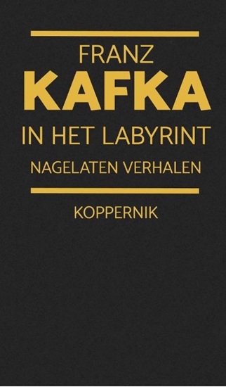 Afbeelding van In het labyrint