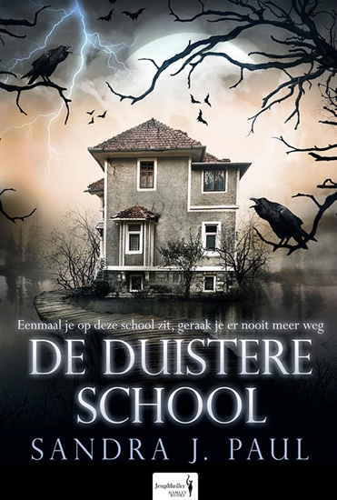 Afbeelding van De Duistere School