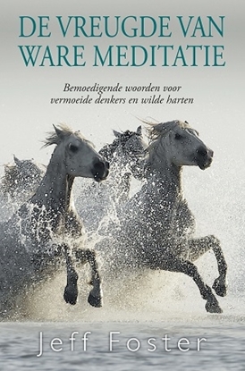 Afbeeldingen van De vreugde van ware meditatie