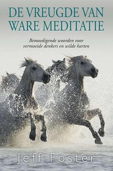 Afbeelding van De vreugde van ware meditatie