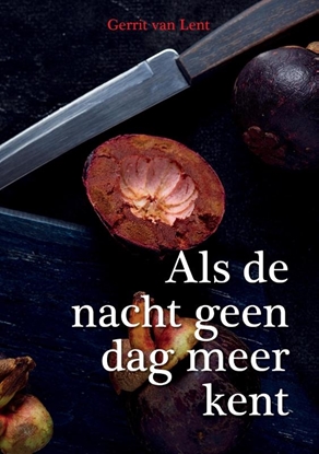 Afbeeldingen van Als de nacht geen dag meer kent.