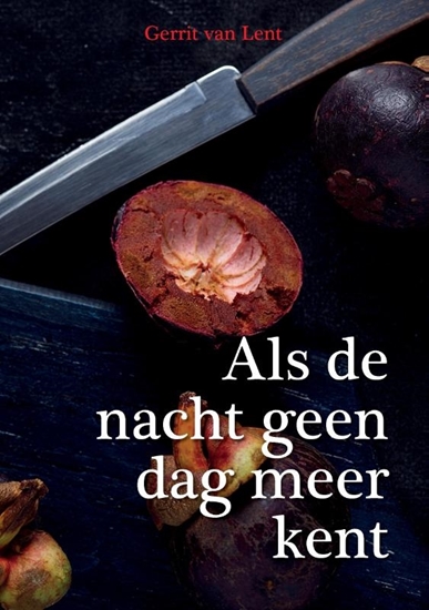 Afbeelding van Als de nacht geen dag meer kent.
