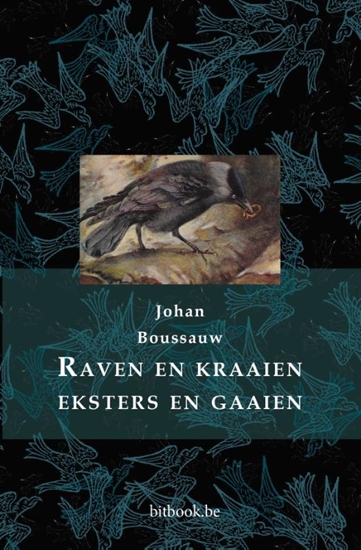Afbeelding van Raven en kraaien, eksters en gaaien