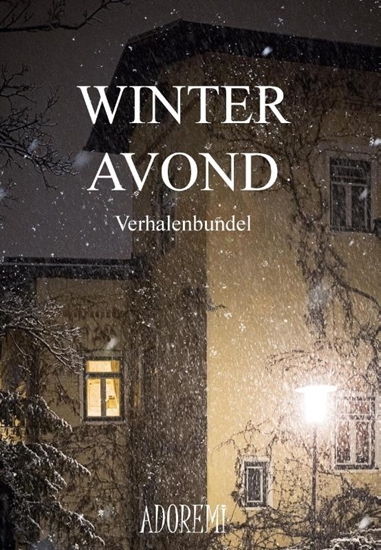 Afbeelding van Winteravond