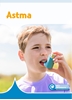 Afbeelding van Mini Informatie Astma