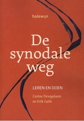Afbeeldingen van De synodale weg