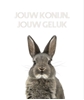 Afbeelding van Jouw konijn, jouw geluk