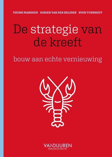Afbeelding van De strategie van de kreeft