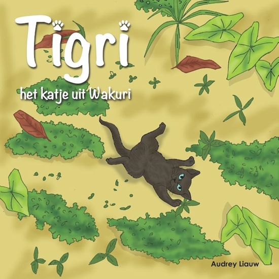 Afbeelding van Tigri, het katje uit Wakuri