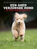 Afbeelding van Een goed verzorgde hond is een blije hond