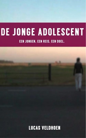 Afbeelding van De jonge adolescent