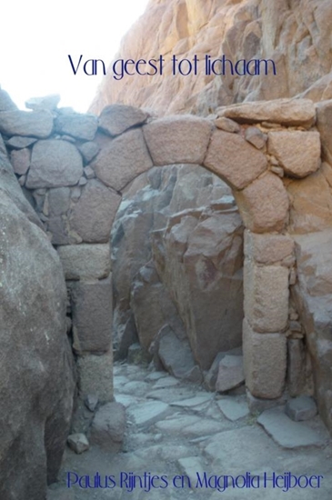 Afbeelding van Van geest tot lichaam