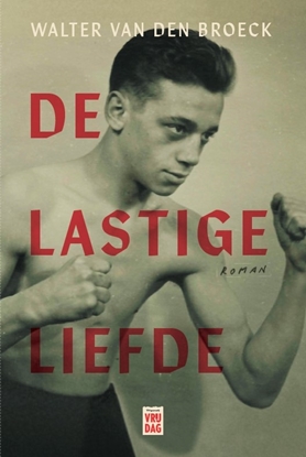 Afbeeldingen van De lastige liefde