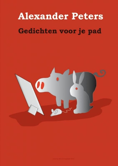 Afbeelding van Gedichten voor je pad