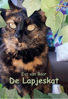 Afbeeldingen van De Lapjeskat