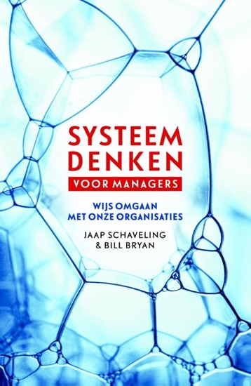 Afbeelding van Systeemdenken voor managers