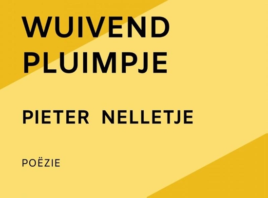 Afbeelding van WUIVEND PLUIMPJE