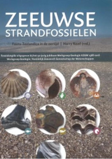 Afbeelding van Zeeuwse strandfossielen