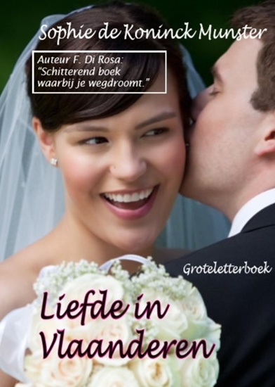 Afbeelding van Liefde in Vlaanderen