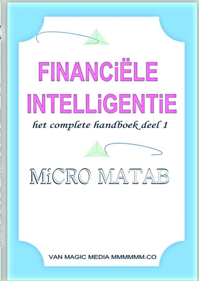 Afbeelding van Financiële Intelligentie