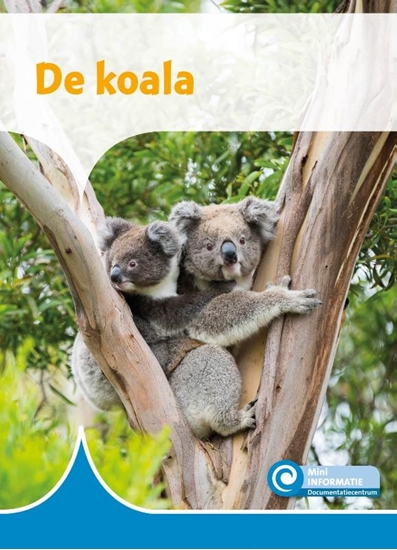 Afbeelding van Mini Informatie De koala