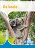 Afbeelding van Mini Informatie De koala