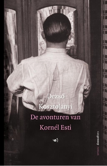 Afbeelding van De avonturen van Kornél Esti